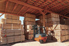 BT Cargo 80 3.5t wood application.tif 